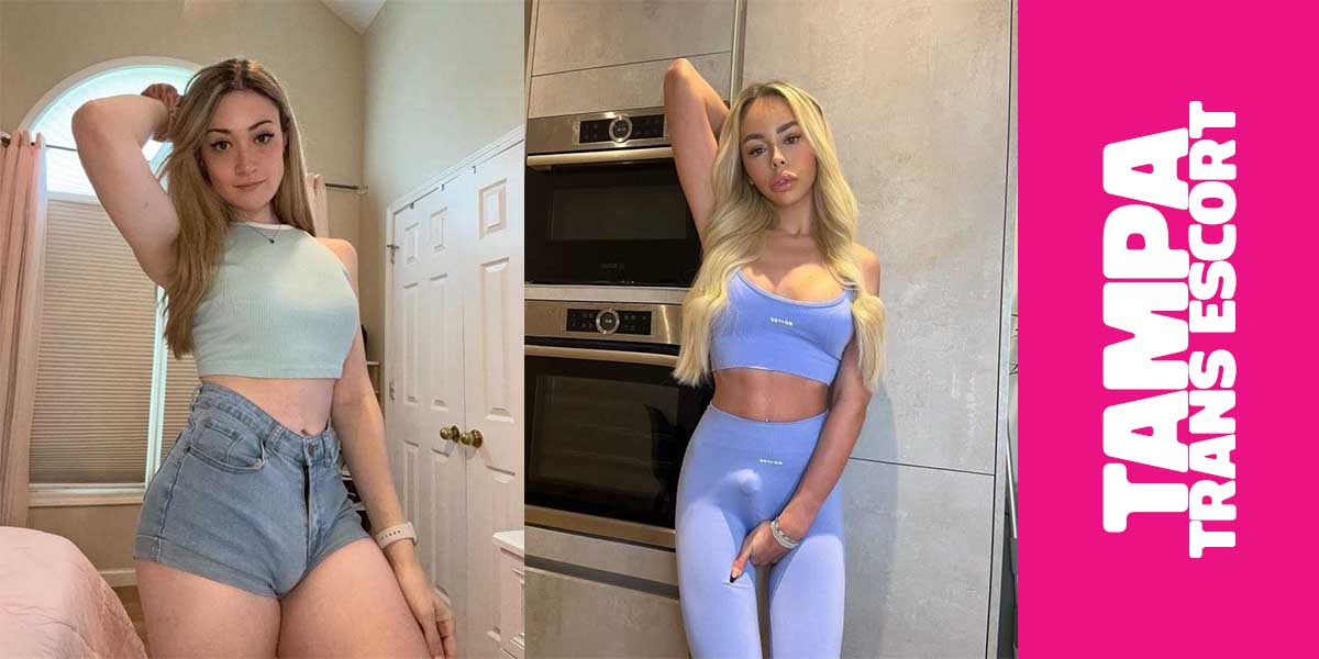 Trans Escorts Tampa